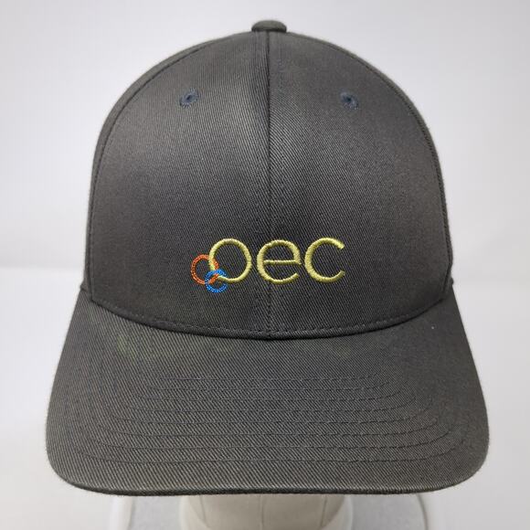 Oec Fitted Baseball Cap Gray One Size Embroidered 6 Panel Flexfit Port Authority - Picture 2 of 10